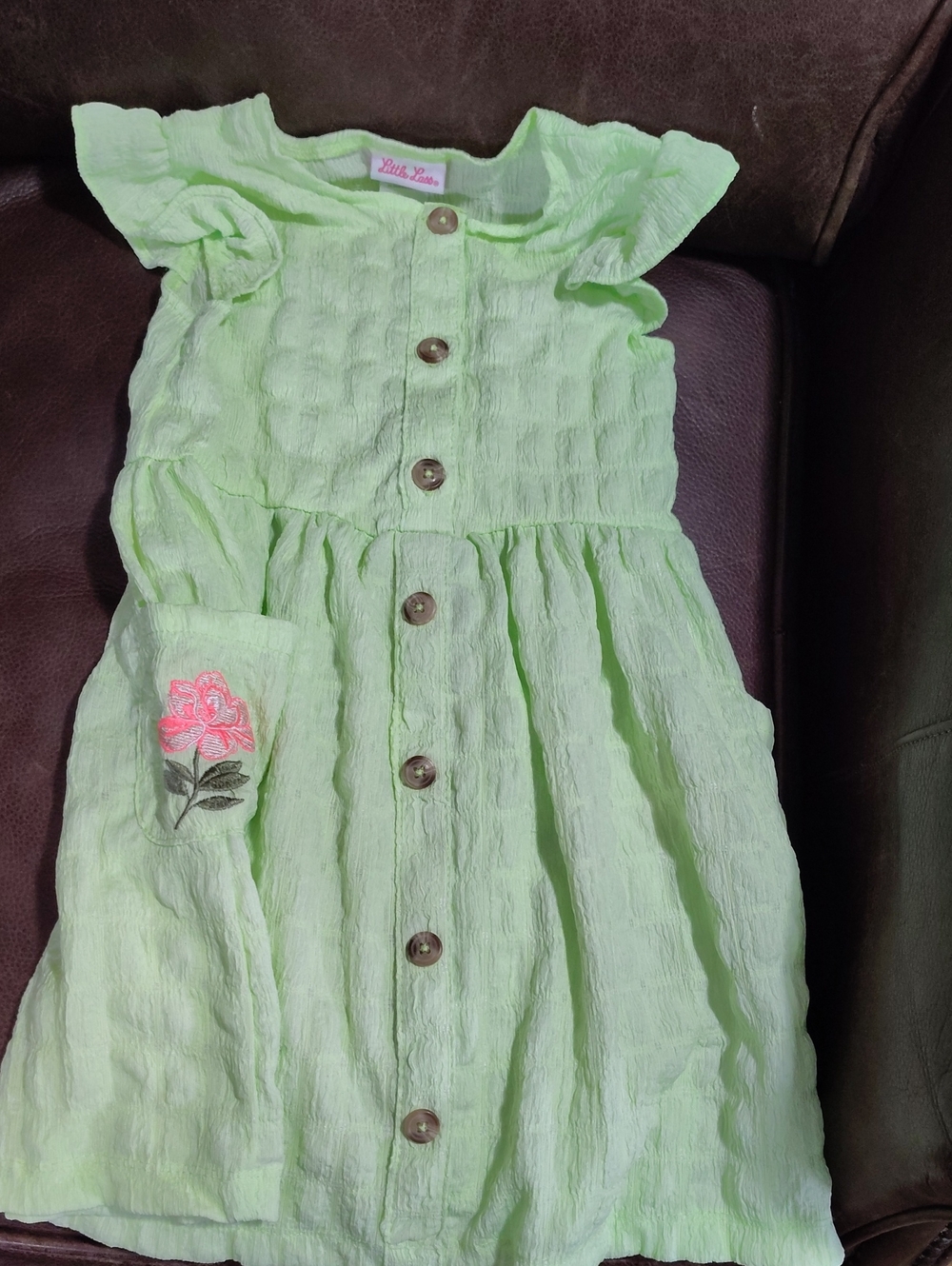 Little Lass Light Green Button-Front Dress with Pink Floral Pocket